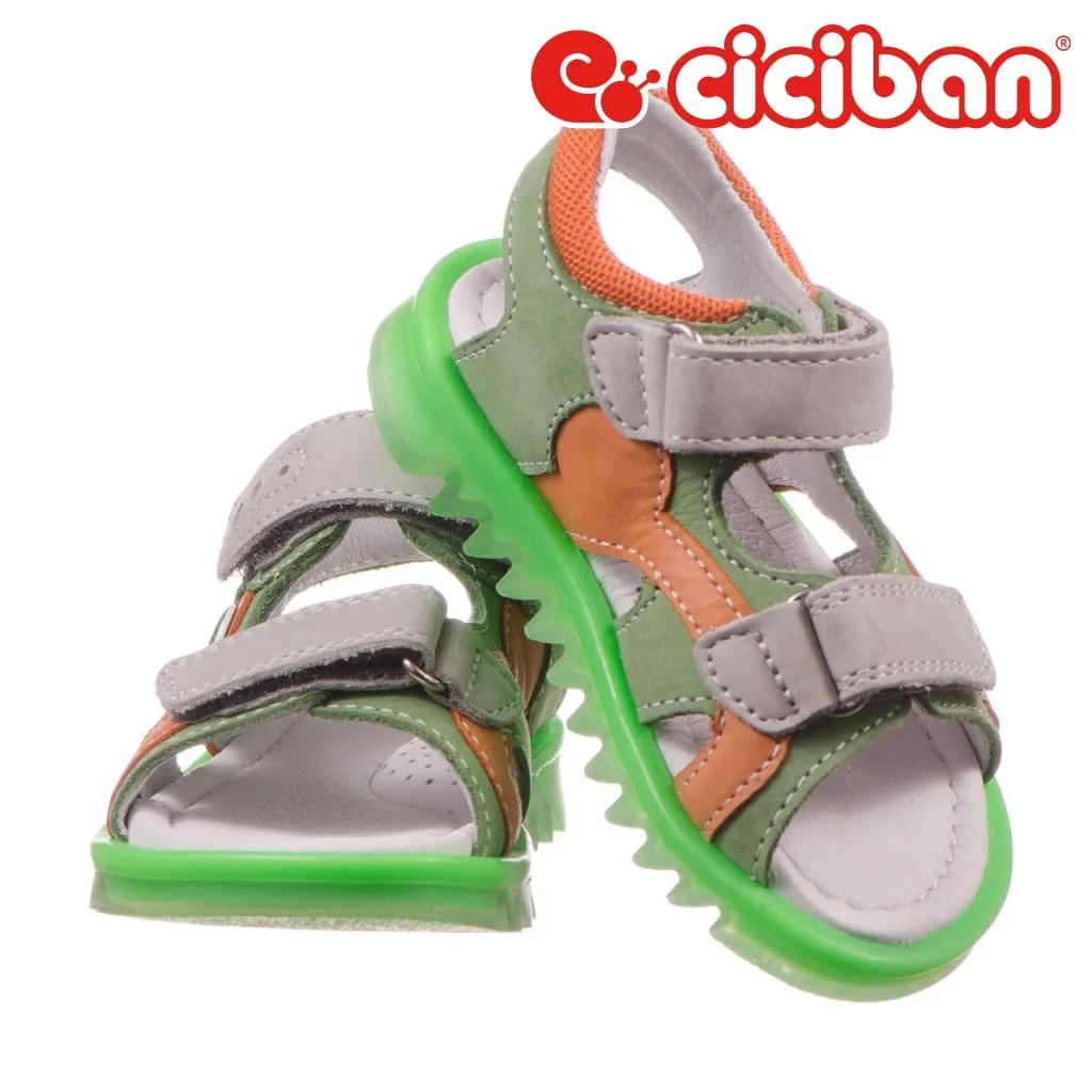Badger Prato 37