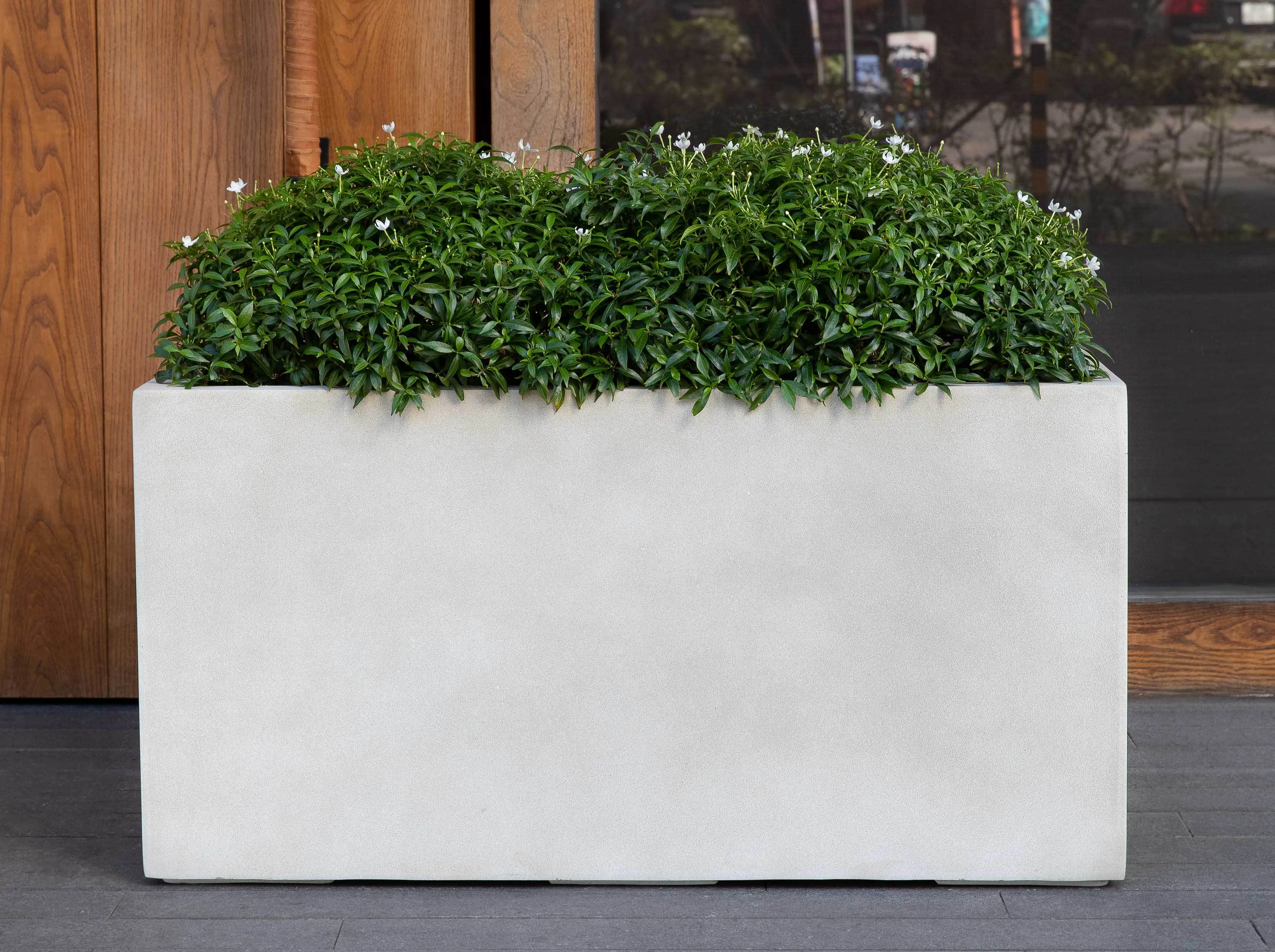 Campania Sandal Planters