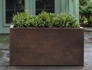 Campania Sandal Planters