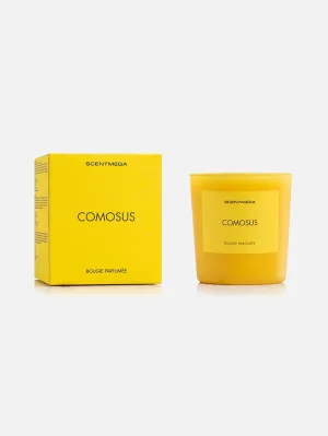 Comosus Mum