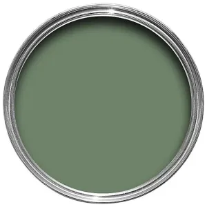 Farrow & Ball Calke Green Paint 34