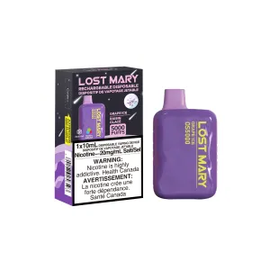 Grape Ice - Lost Mary OS5000 Disposable
