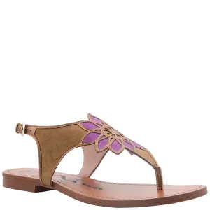 IMPATIEN-EARTH MULTI KSD/METALLIC