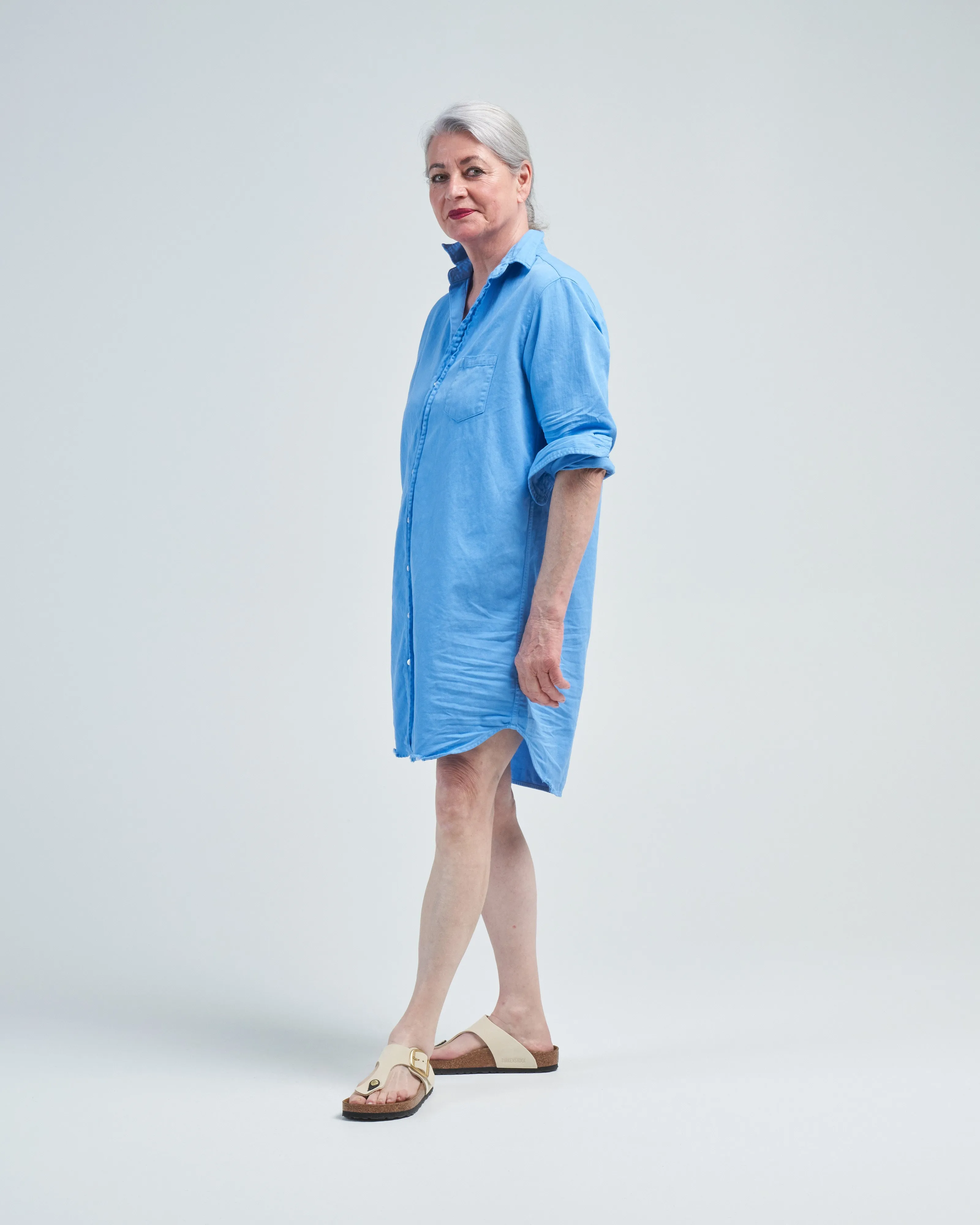 mary classic shirtdress