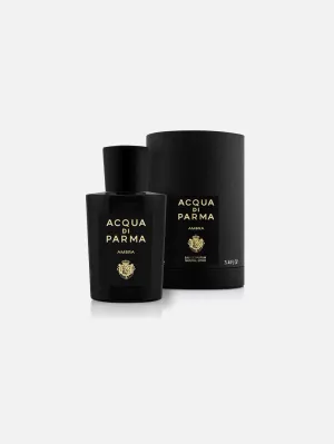 Signature Ambra EDP 100 ML