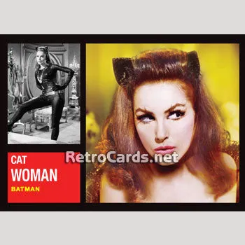 Swingin' Chicks of the 60s Set • TV Starlets