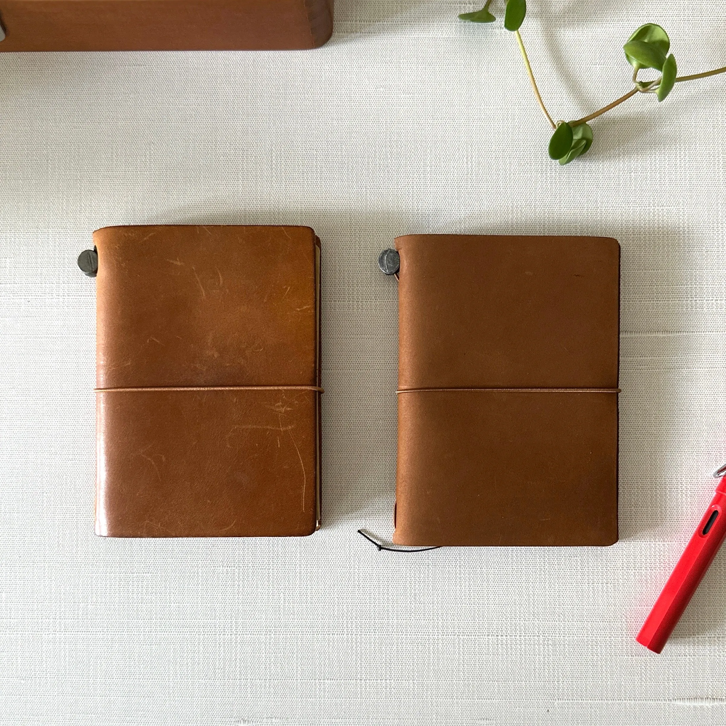[TRC] Traveler's Notebook // Camel (PASSPORT)
