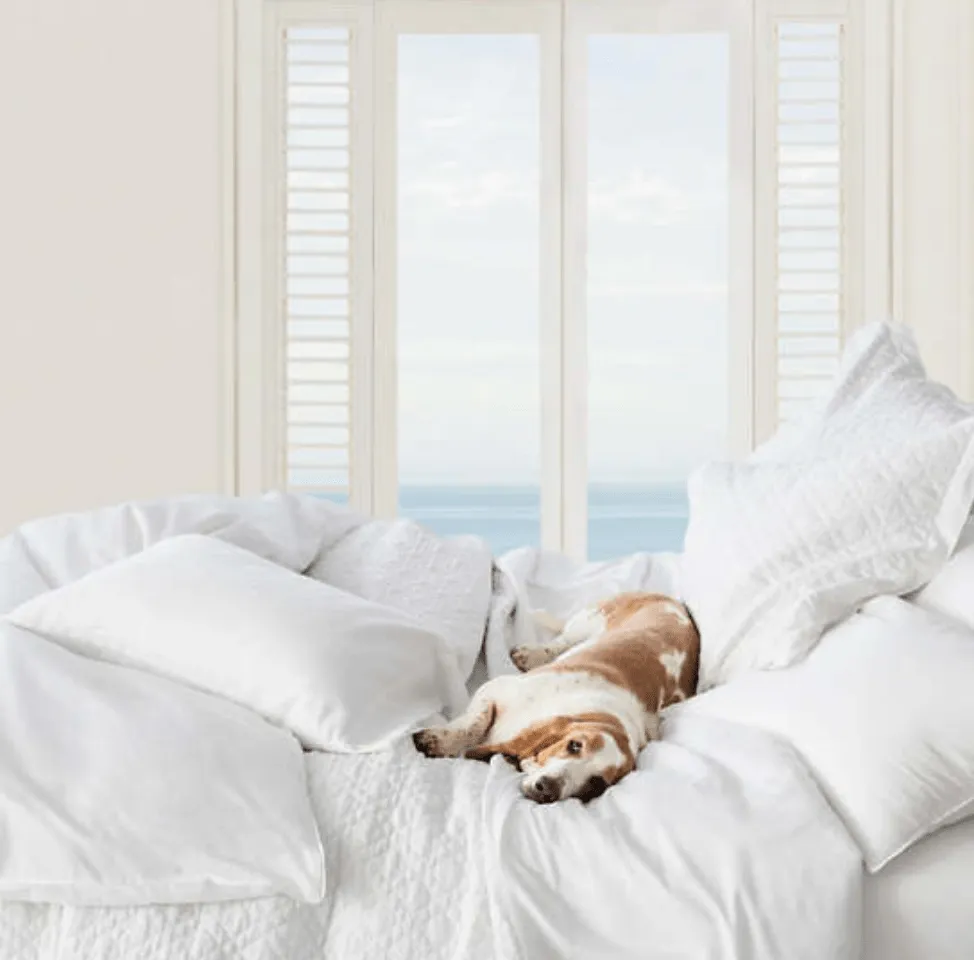 Washed Linen Sham - White